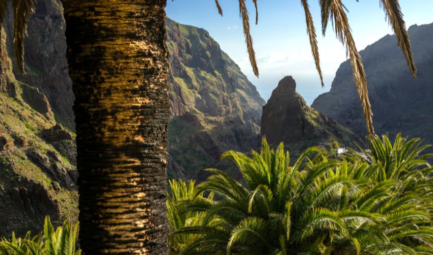 The Canary Islands